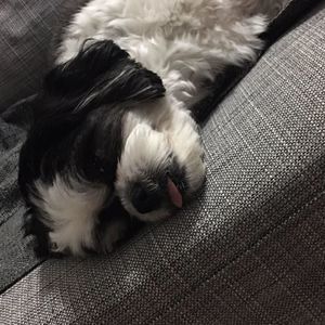 Meet your Posher, Ivana